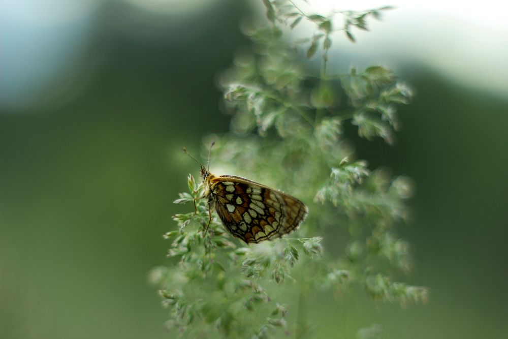 Photograph by Валентина Евсеева