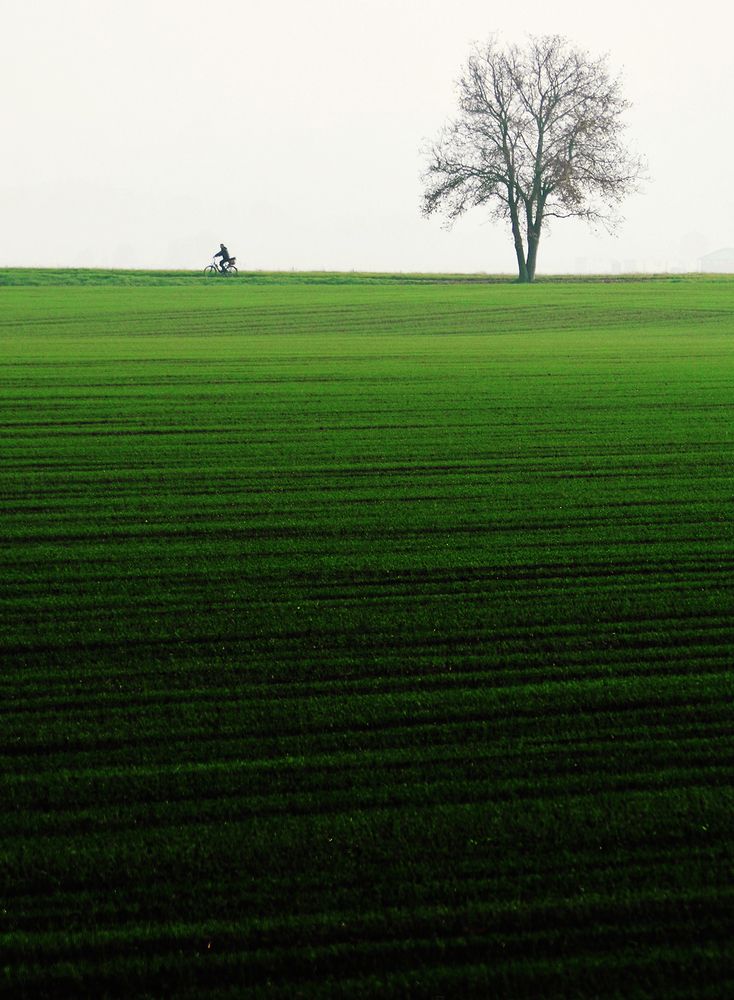 Photograph by Bob Gajdoš