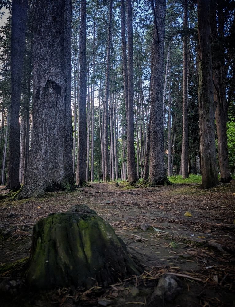 Photograph by Zolotavina Zolotavina
