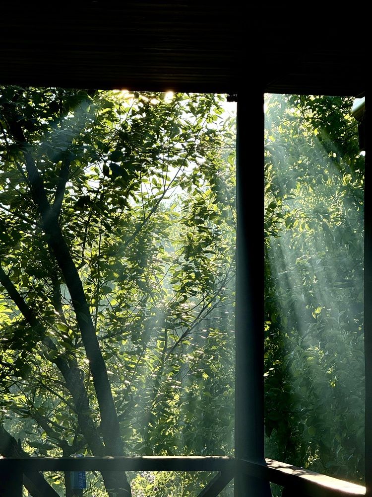 Photograph by Андрей Шабельников