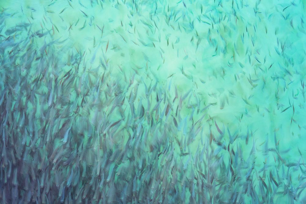 Photograph by zeinab mokhtari
