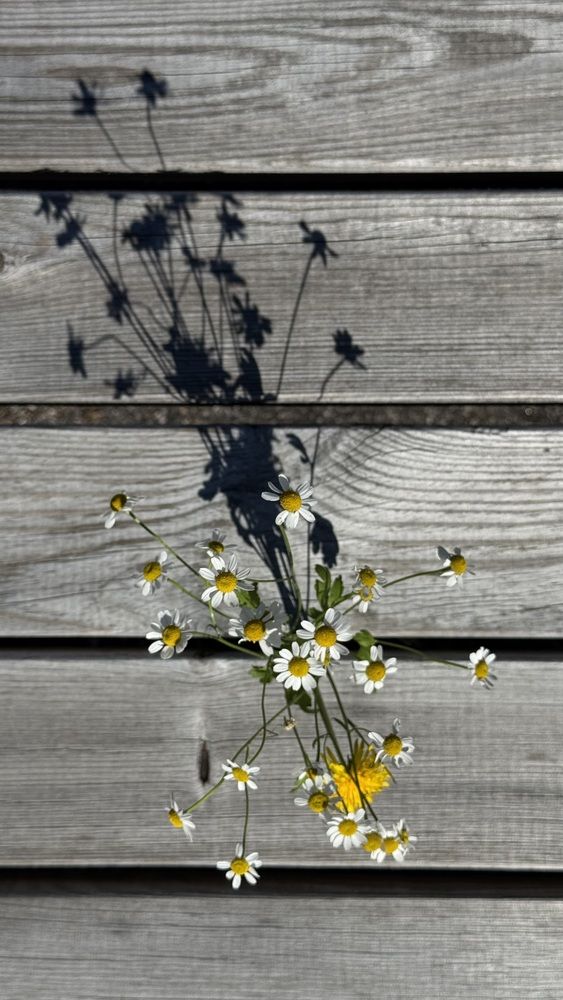 Photograph by Ольга Кудіна