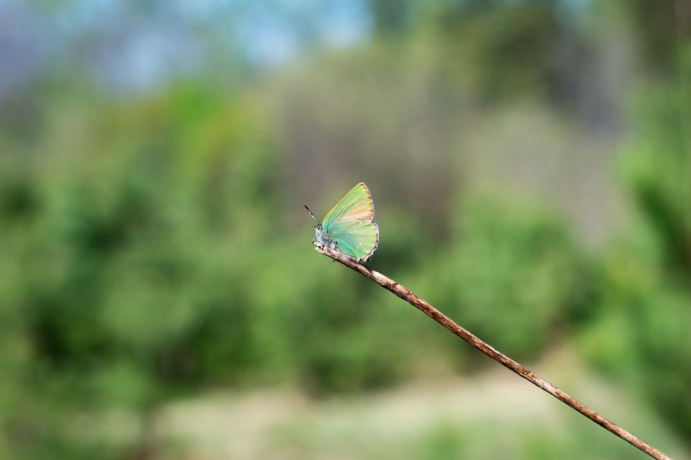 Photograph by Динара Богатырева