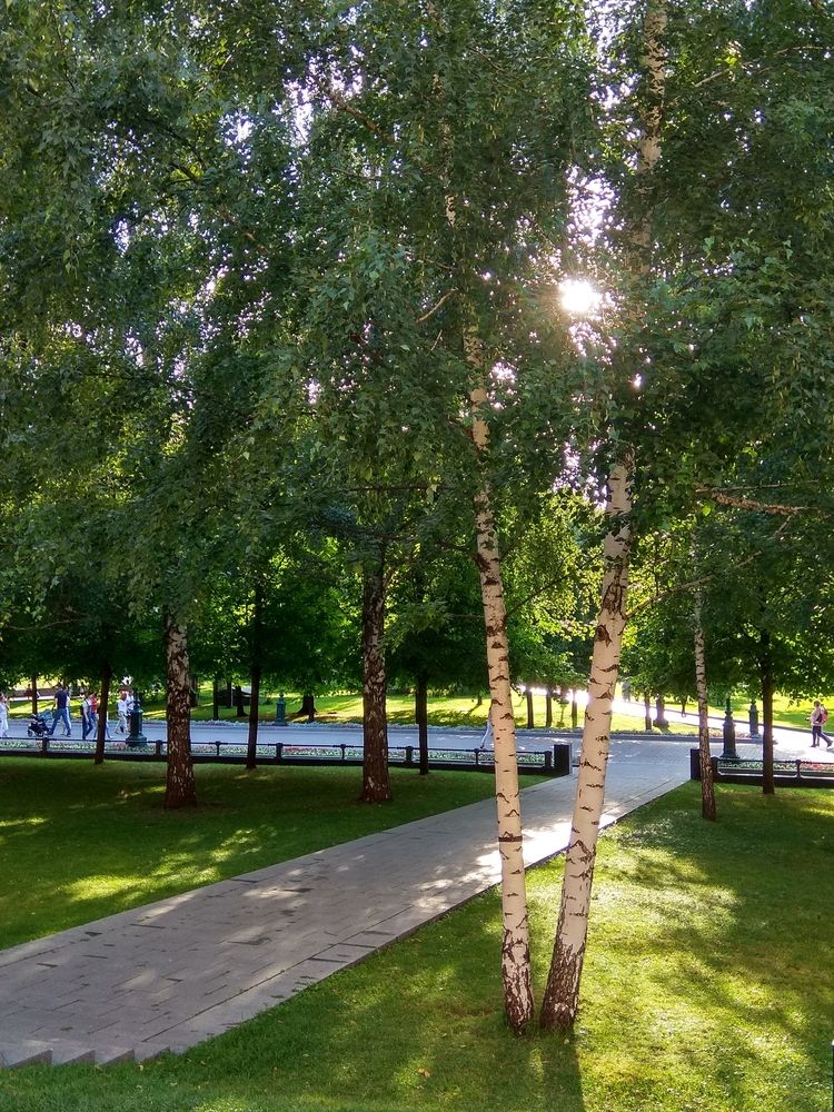 Photograph by Татьяна Петренко