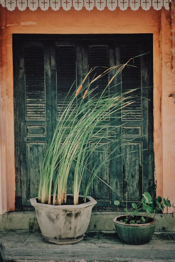 Photograph by Наталья Трофимова