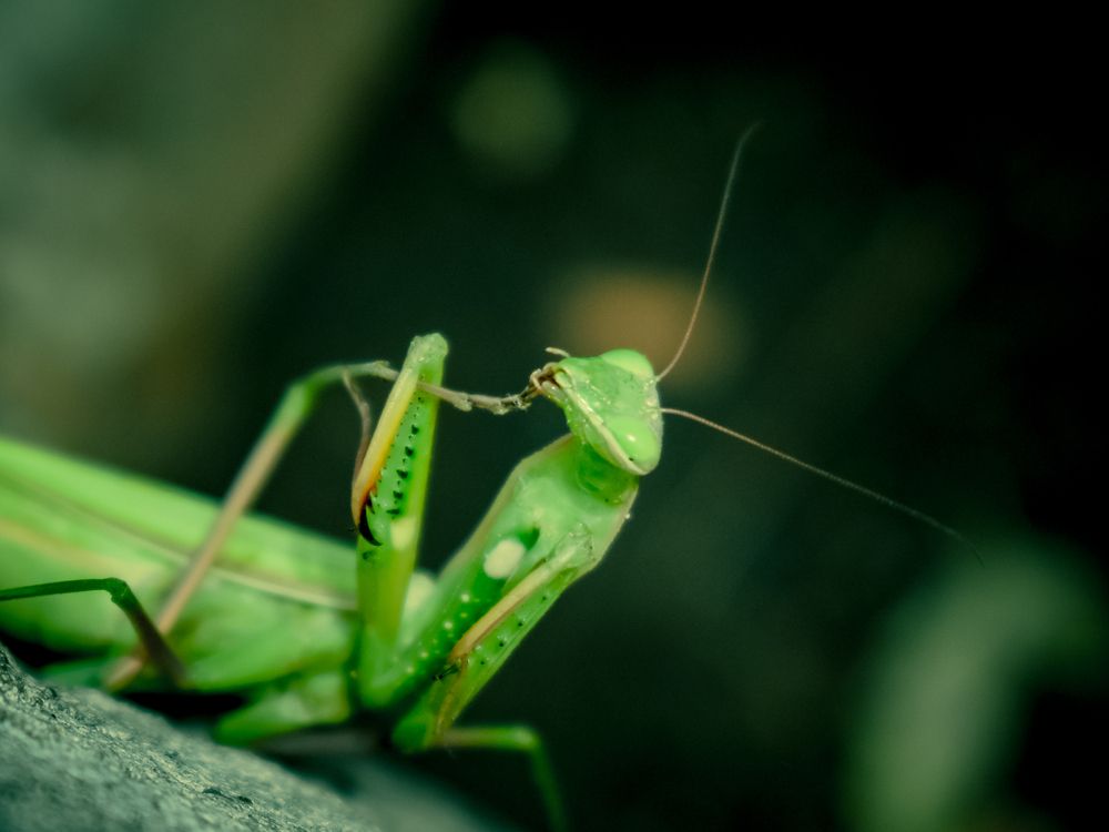 Photograph by Naman Vishwajeet