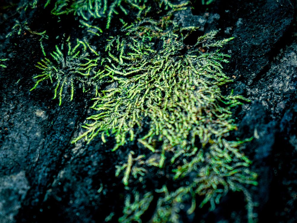 Photograph by Naman Vishwajeet