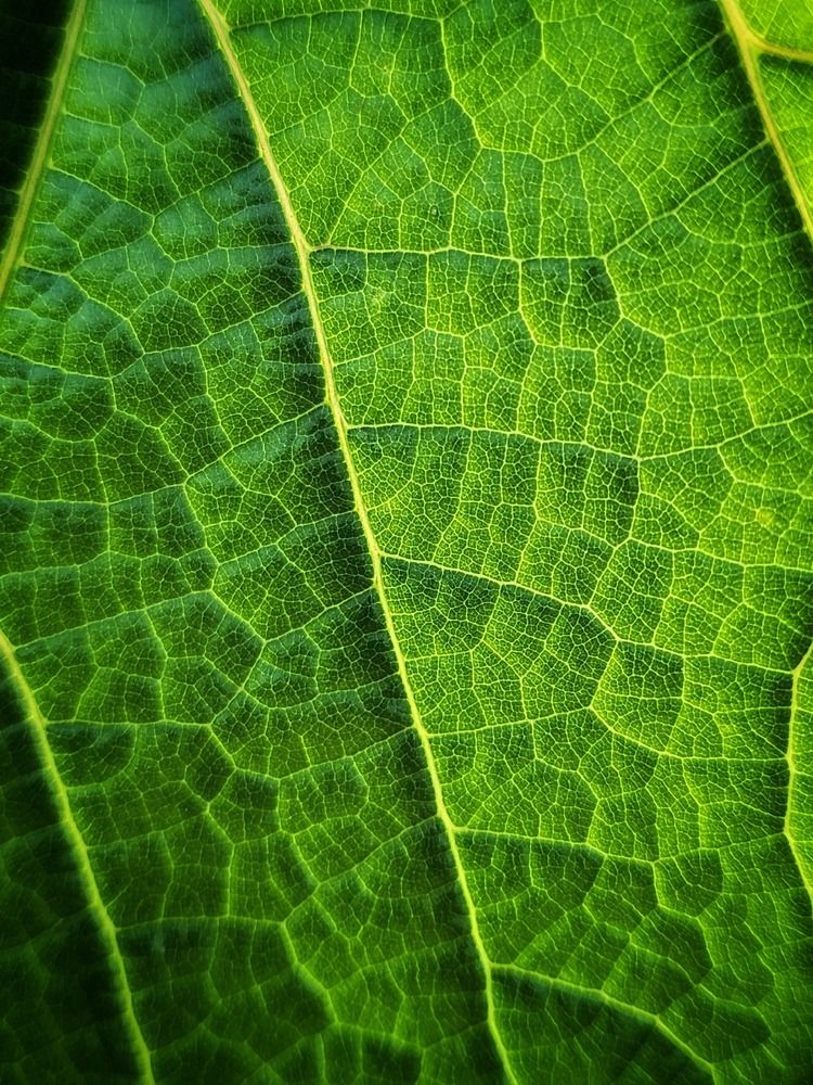 Photograph by Татьяна Сякина