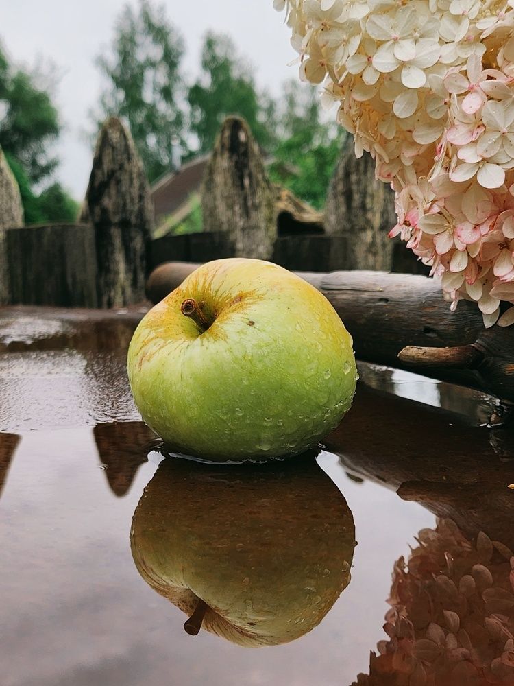 Photograph by Татьяна Сякина