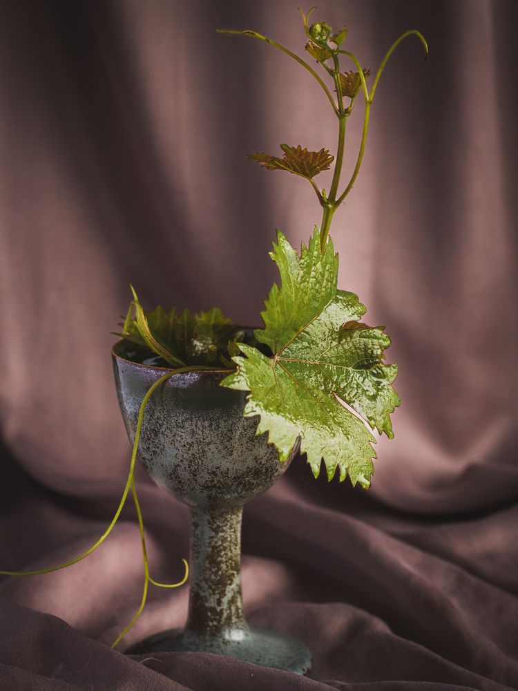 Photograph by Viktoriia Kalnytska-Willems