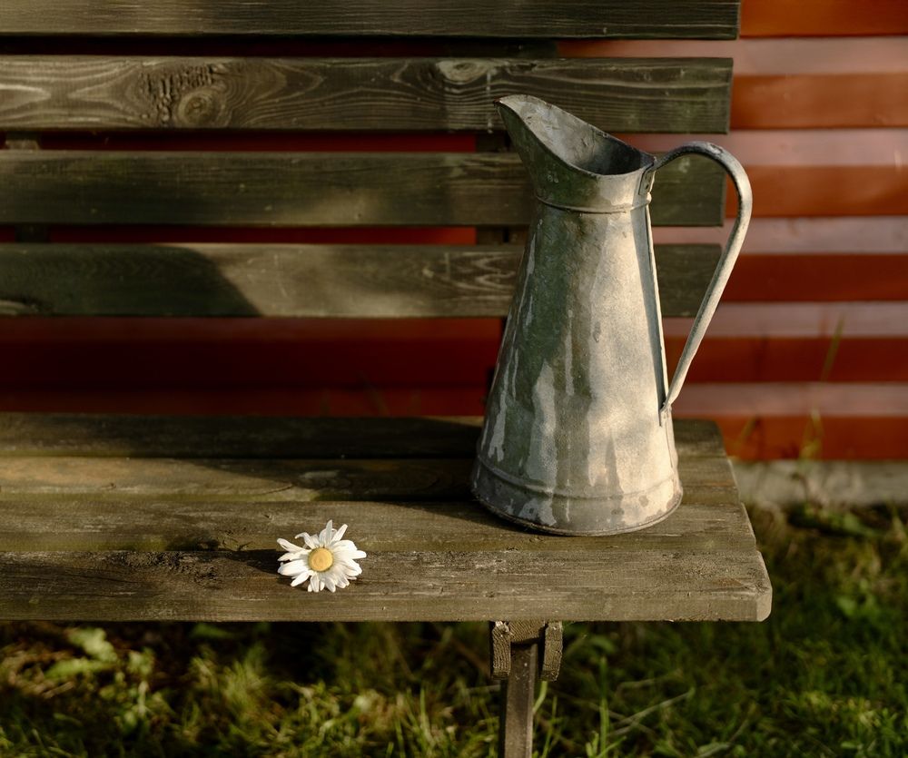 Photograph by Mila Laine