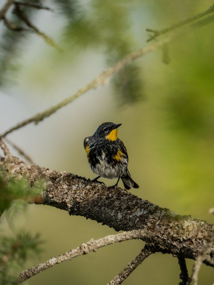 Photograph by Athul Konikkara
