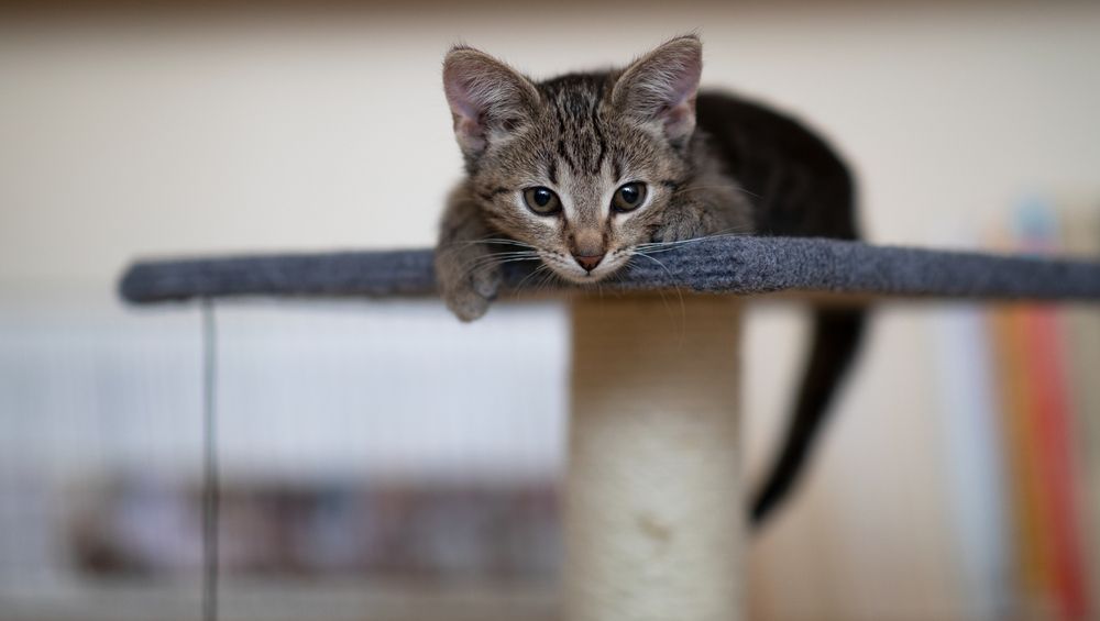 Photograph by Maria Rzeszotarska