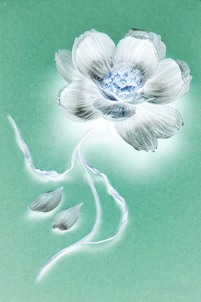 Photograph by Ольга Кудіна