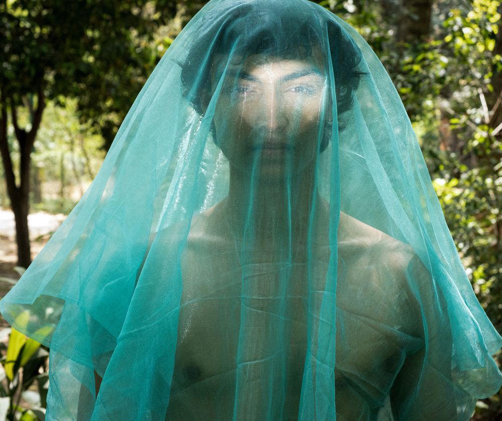 The Bio-Luminescent Awakening