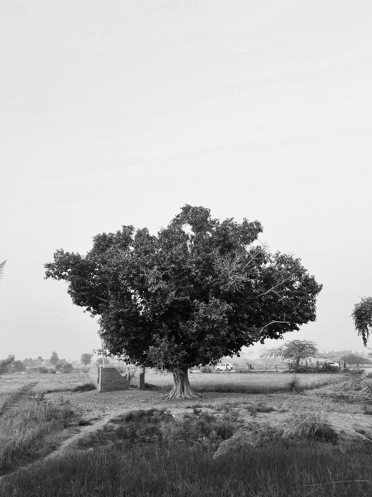 Photograph by Muhammad uzair Mangi