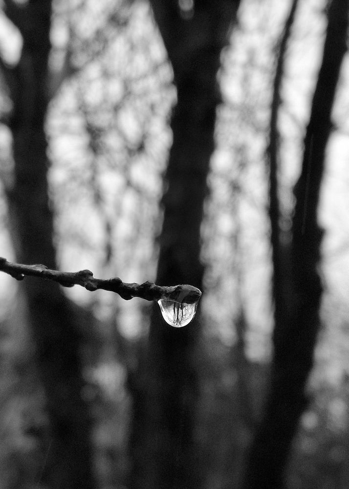 The world in drops