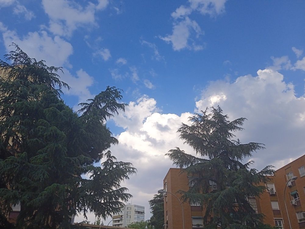 Photo #13644205