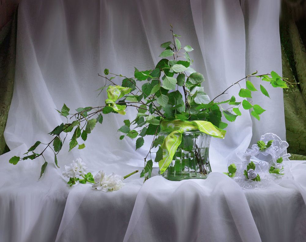 Photograph by Колова Валентина