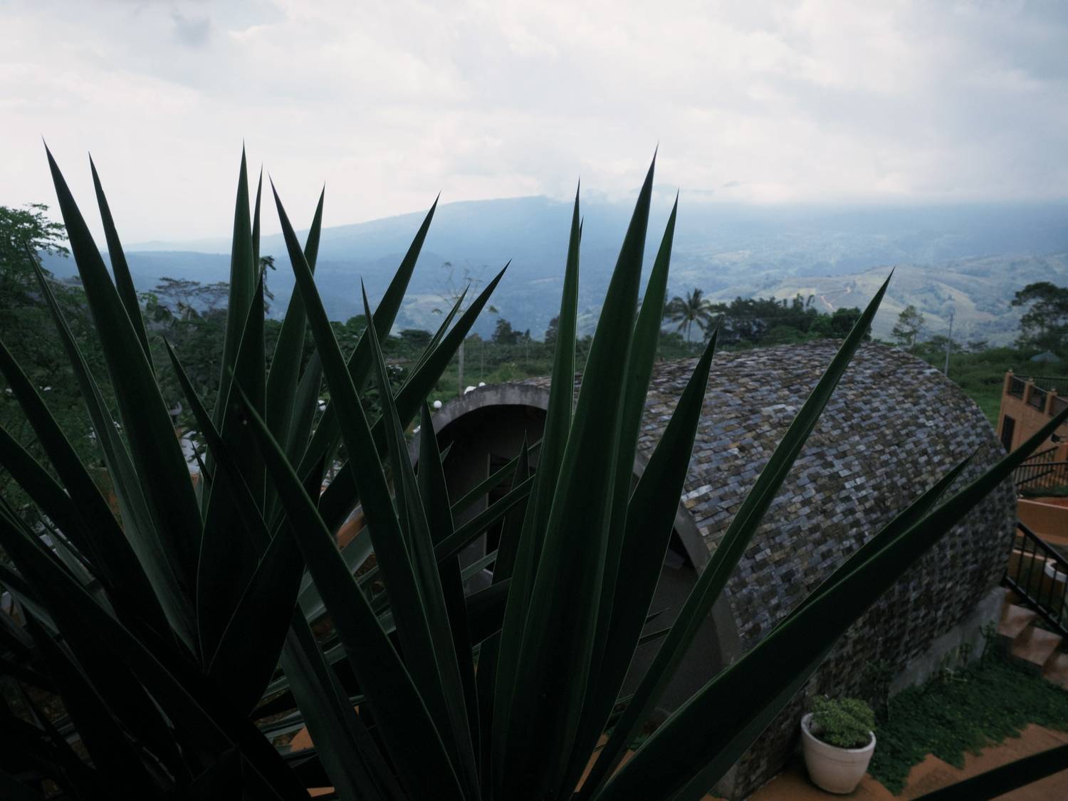 Photo #13644226