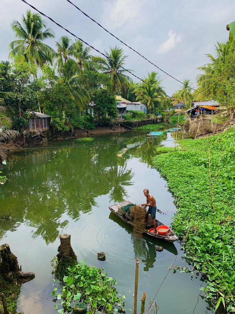 Фотография автора HIEU LIEM DO