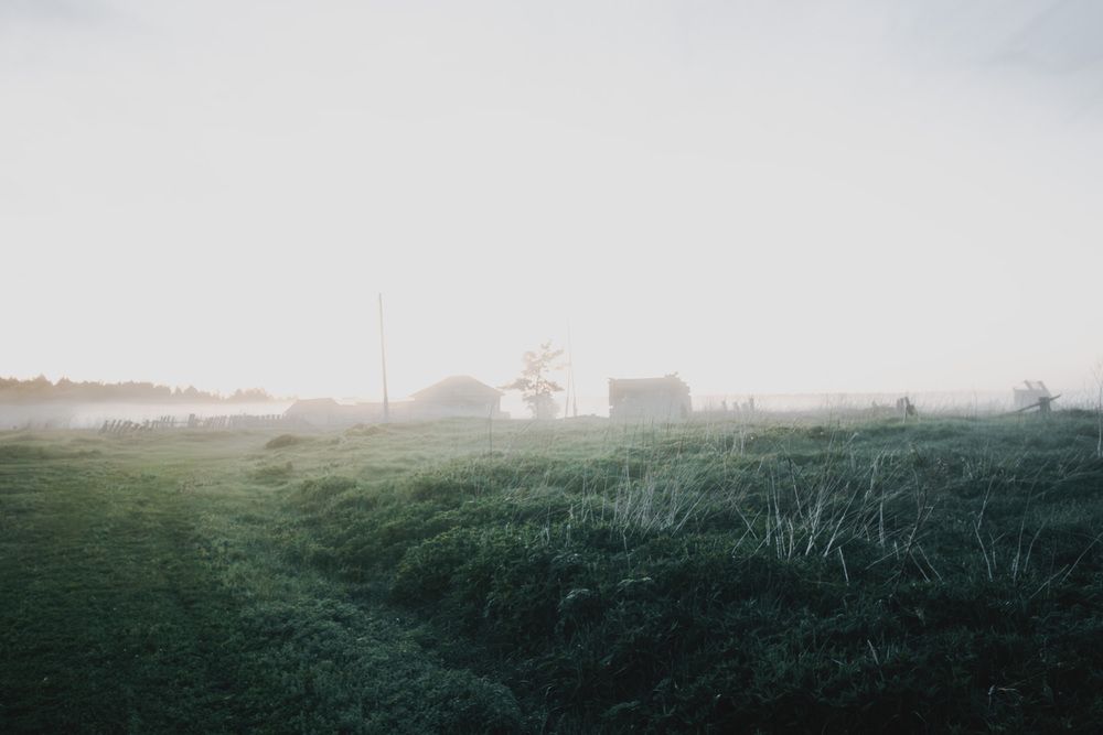 Photograph by Ирина Григорьевна