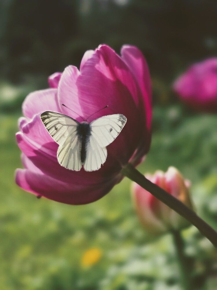Photograph by Татьяна Зыбина