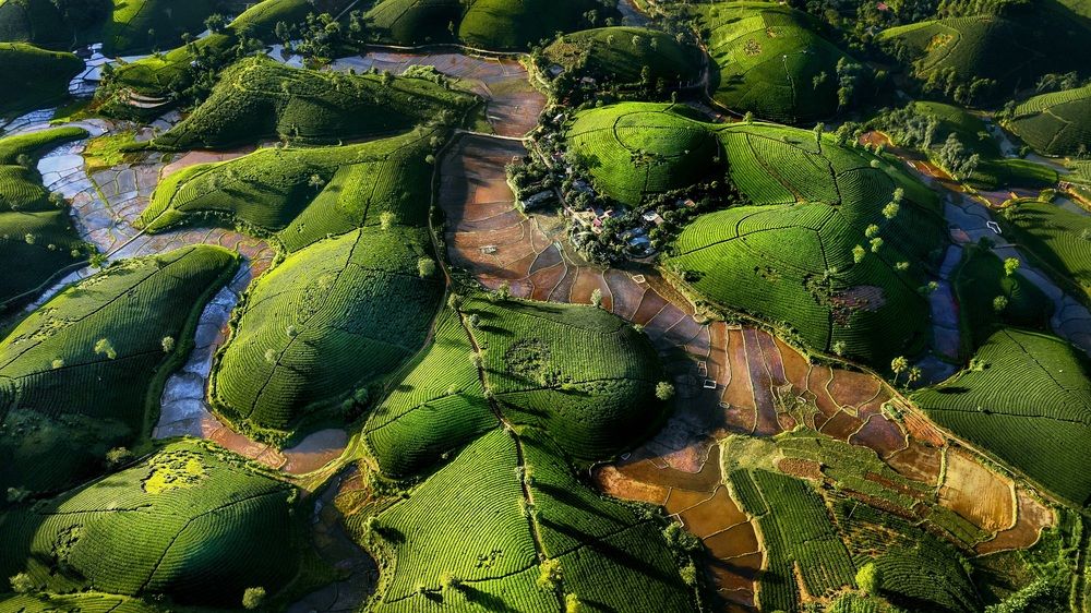 Photograph by MANH CUONG VU