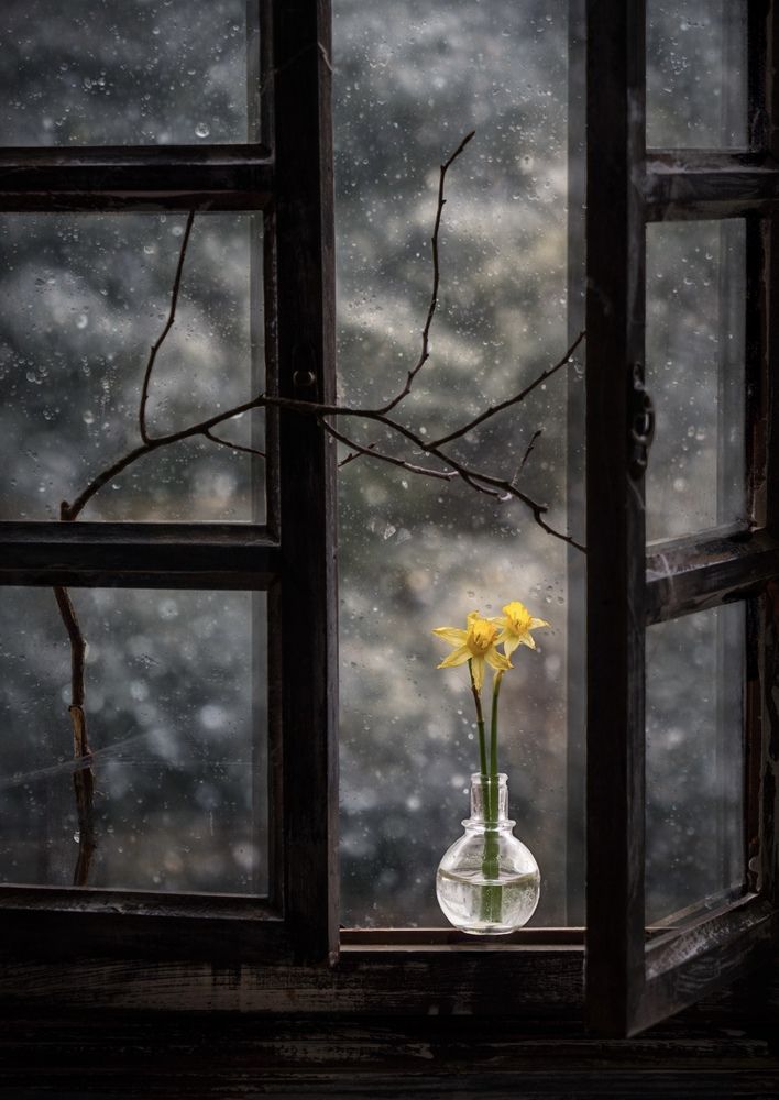 Photograph by Olga Schmidt
