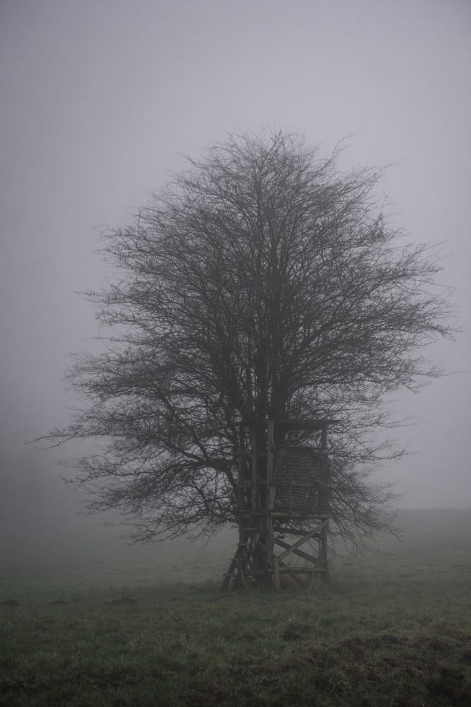 Photograph by Olga Schmidt