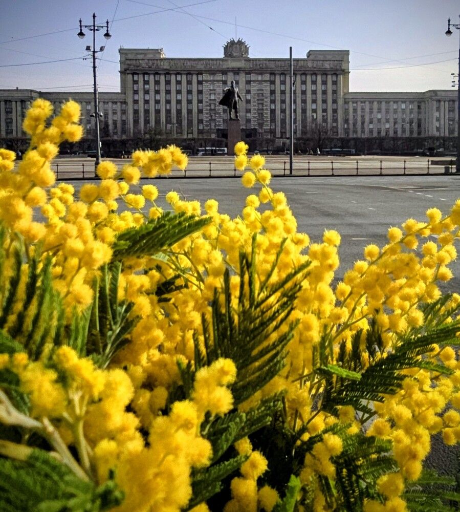 Photograph by Татьяна Зыбина