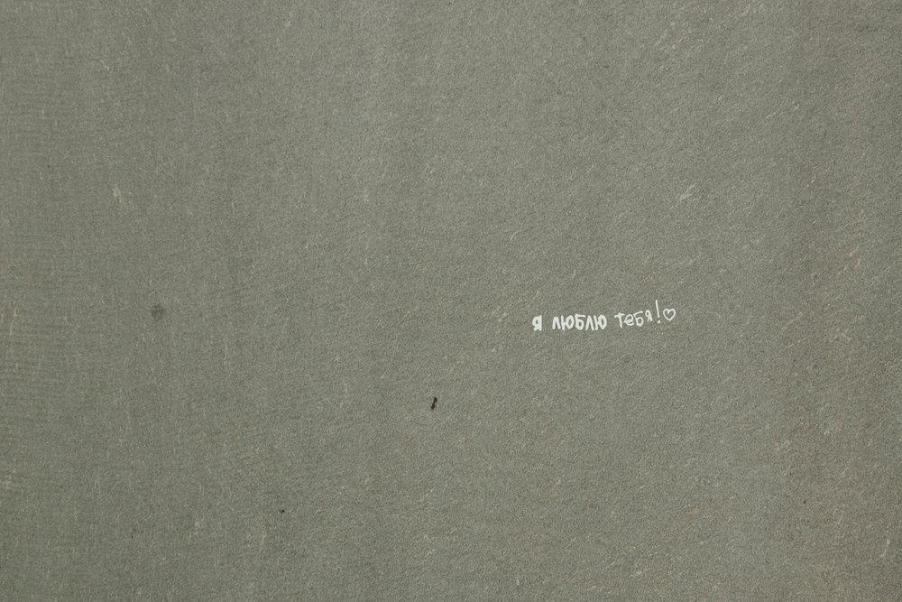 Photo #13644633