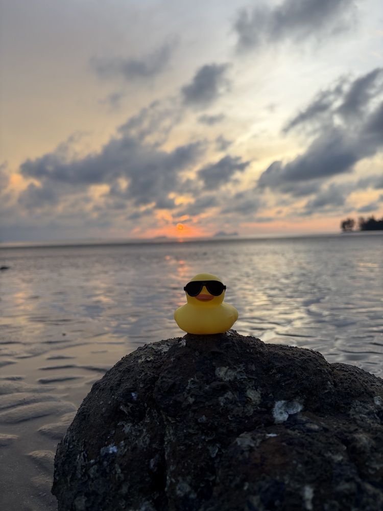 Photograph by Hepzibah Guna Sakaran