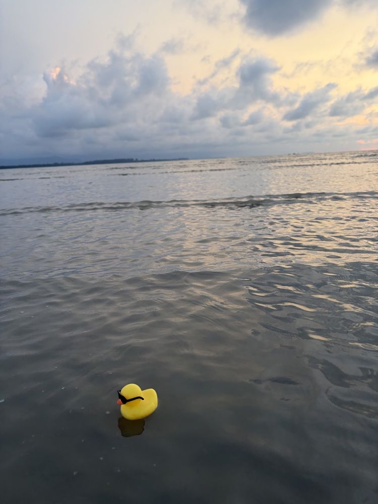 Photograph by Hepzibah Guna Sakaran
