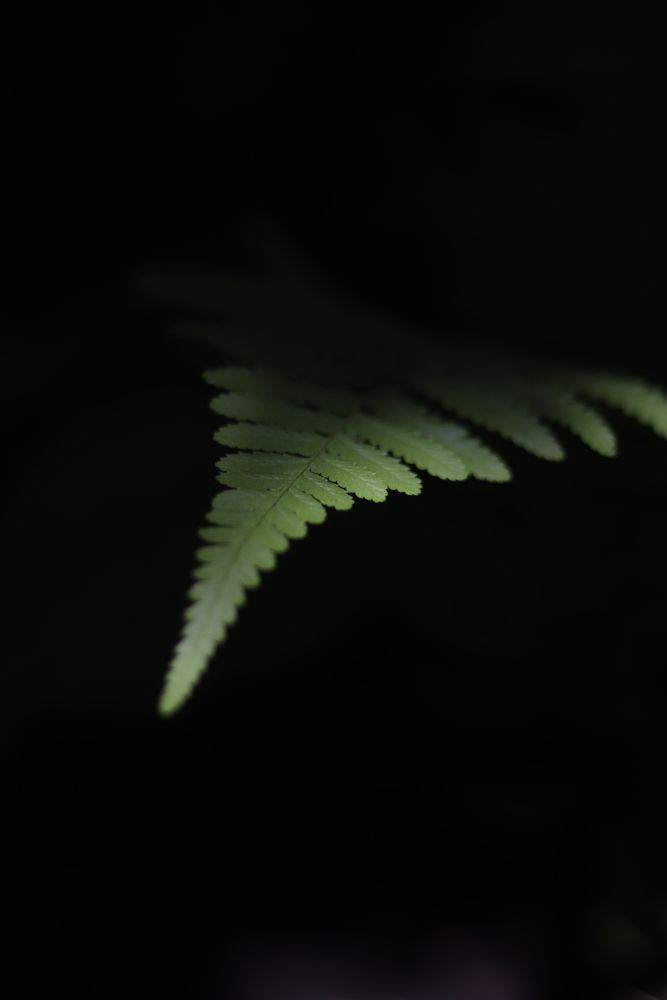 Photograph by Лилия Хохлова