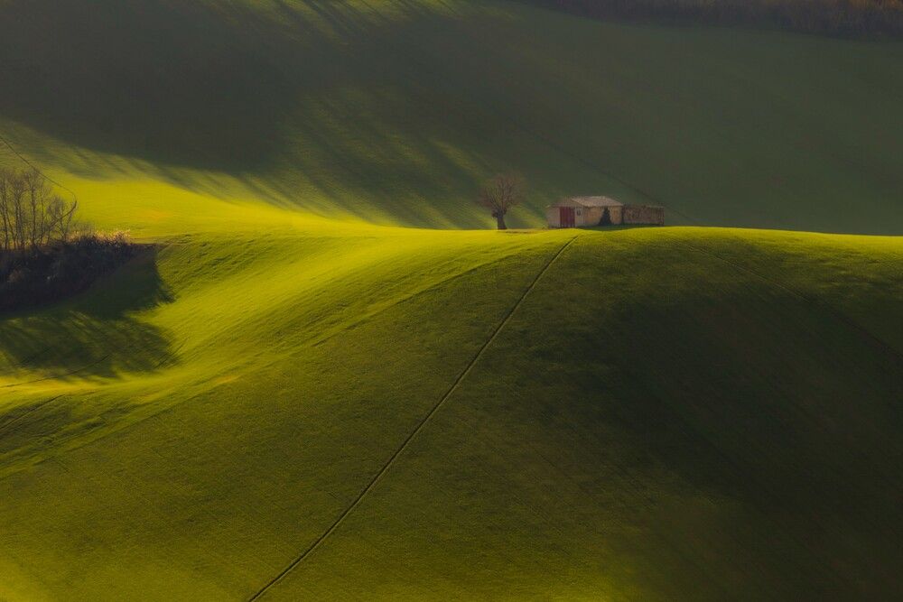 Photograph by Fabrizia Bibi
