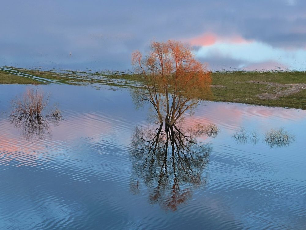 Photograph by Серёга Ануфриев