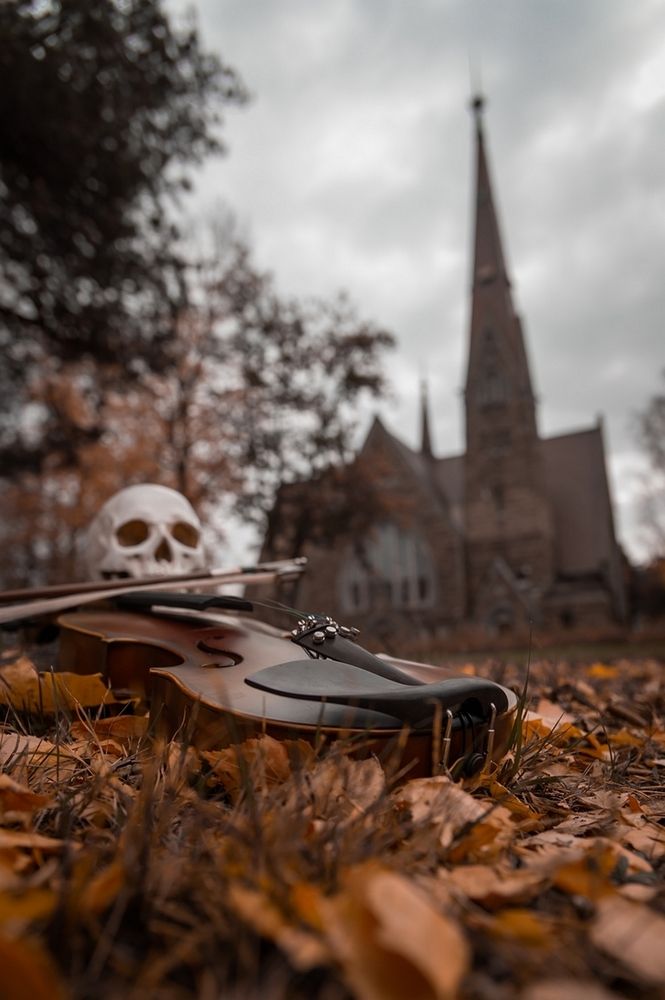 Photograph by Alexandre Dpari