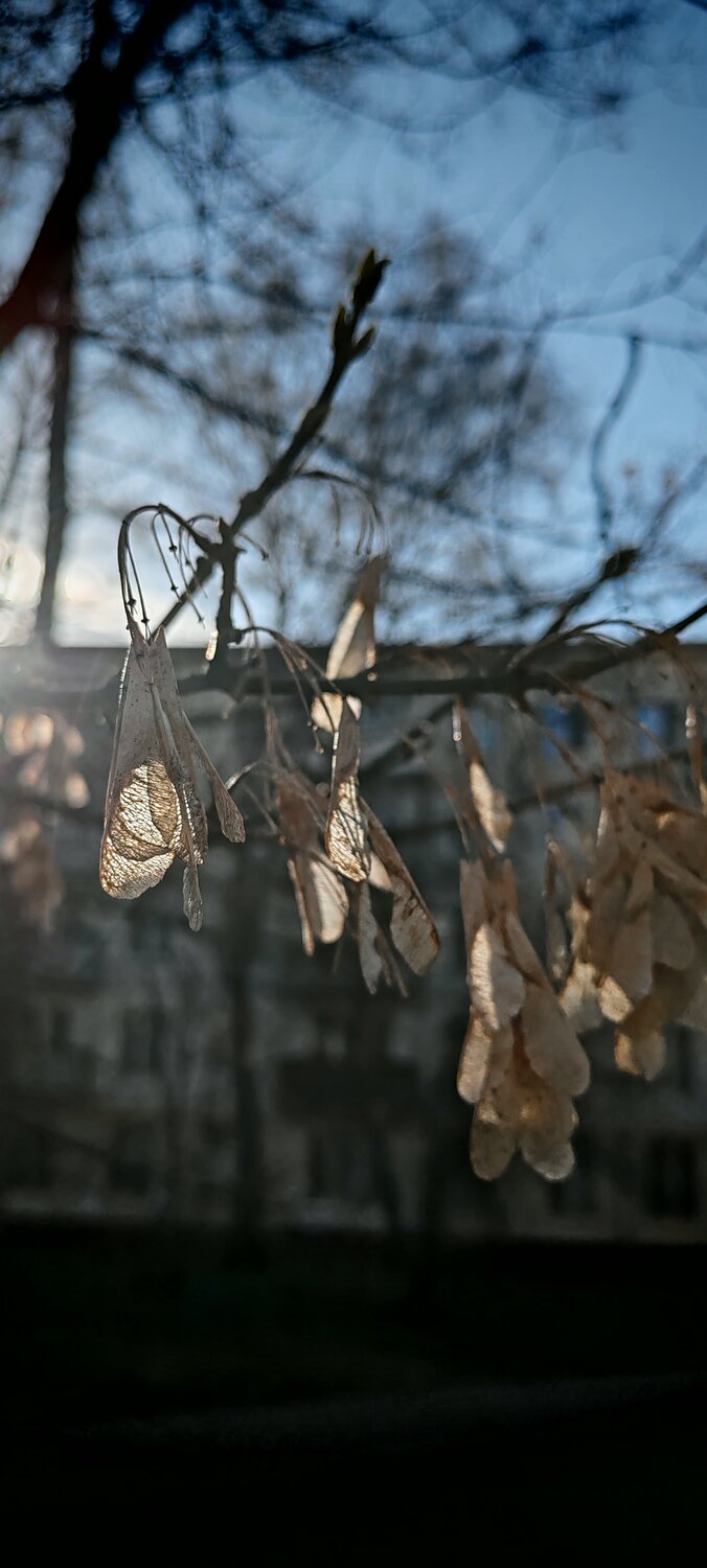 Фотография #13644781