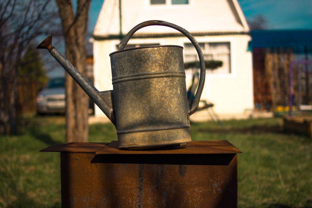Photograph by Алексей Клоков