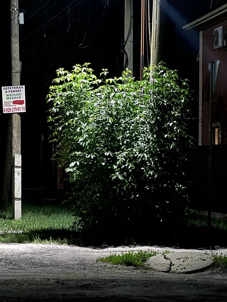 Photograph by Ангелина Гребенщенко