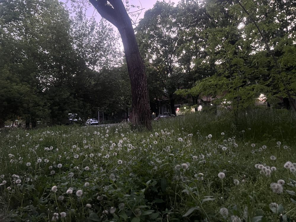 Photograph by Ангелина Гребенщенко
