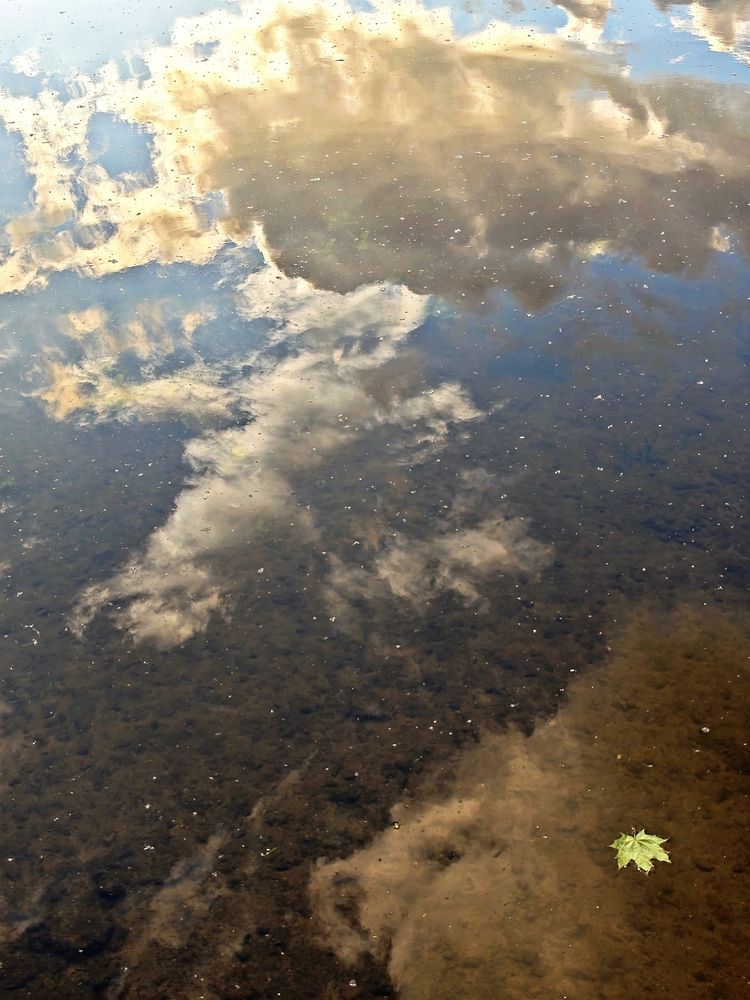 Photograph by Ася Титова
