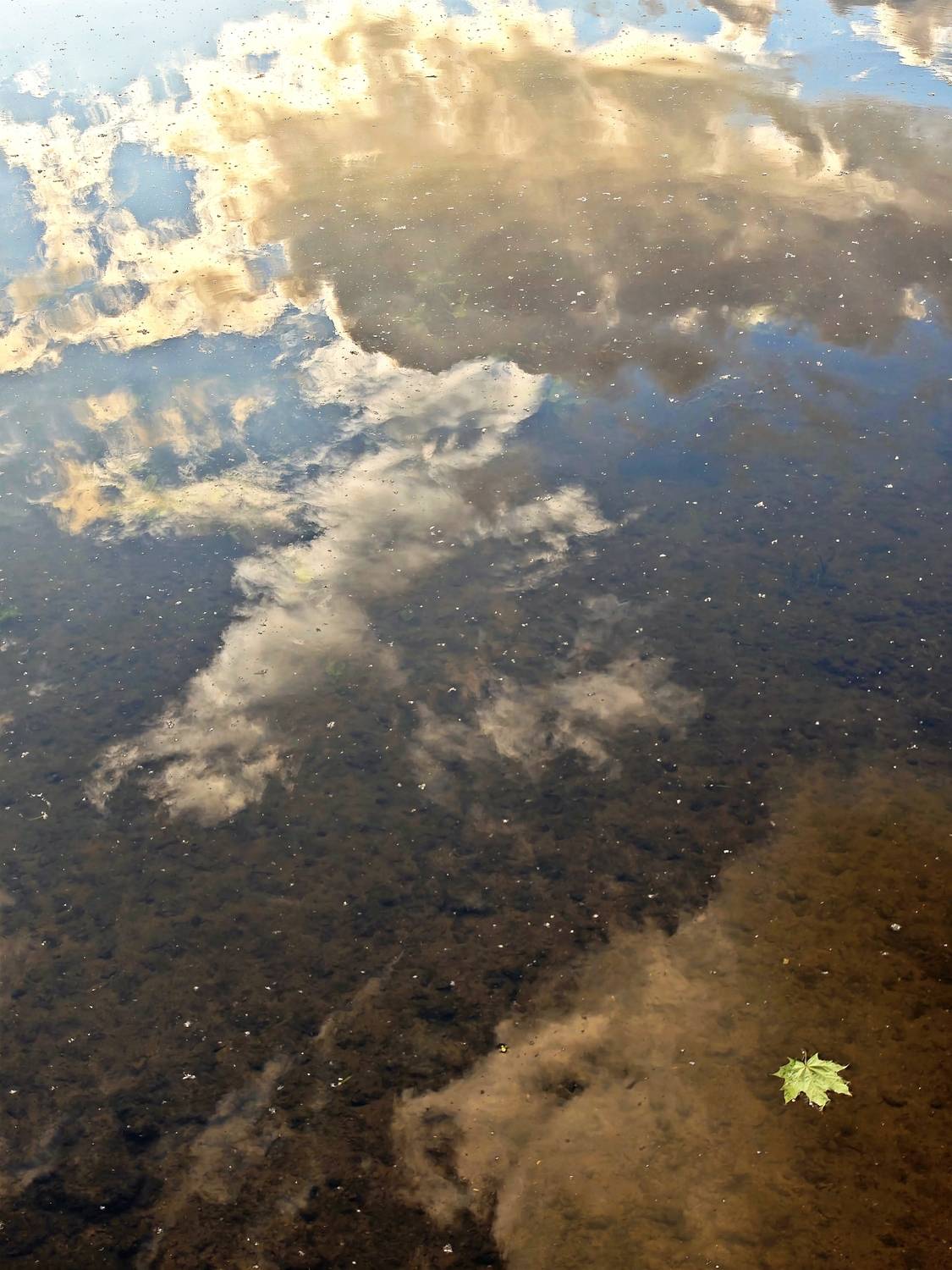 Photo #13644893