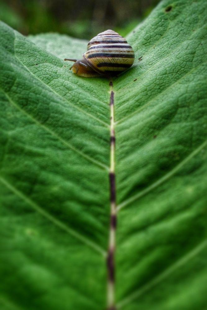 Photograph by Оксана Вадалагина