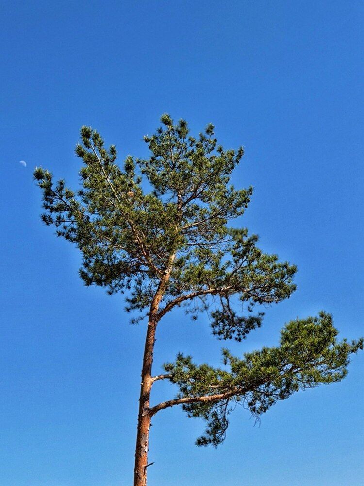 Фотография автора Дарья Гончарова
