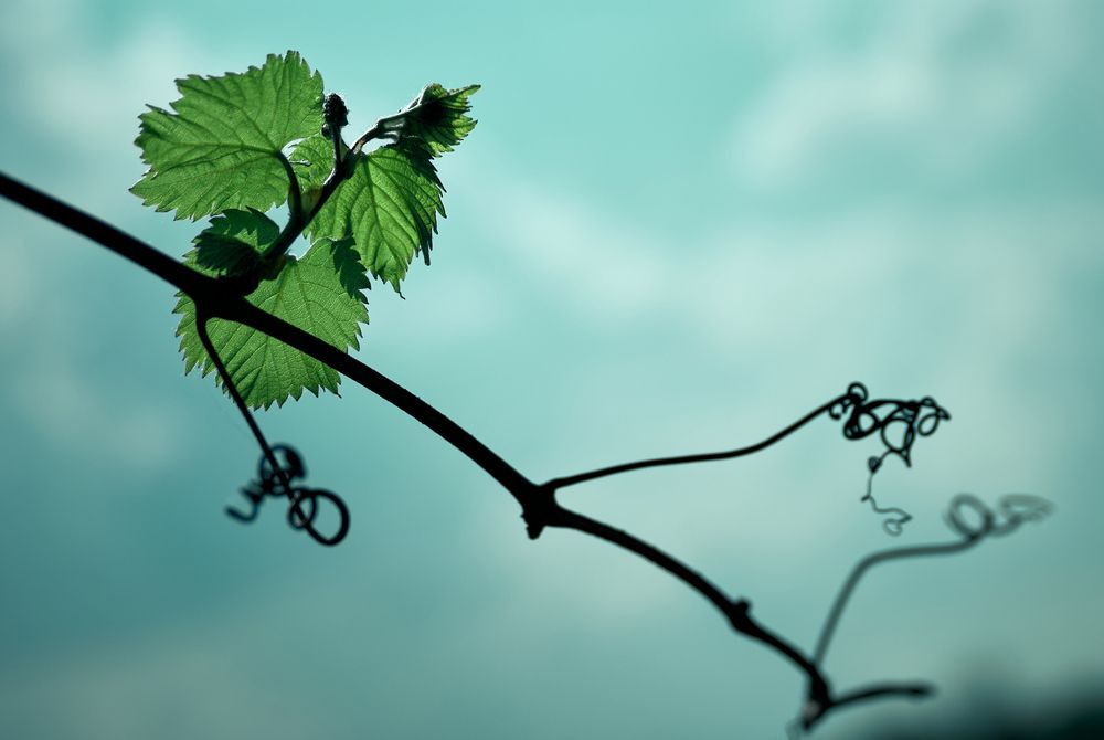 Photograph by Константин Громов