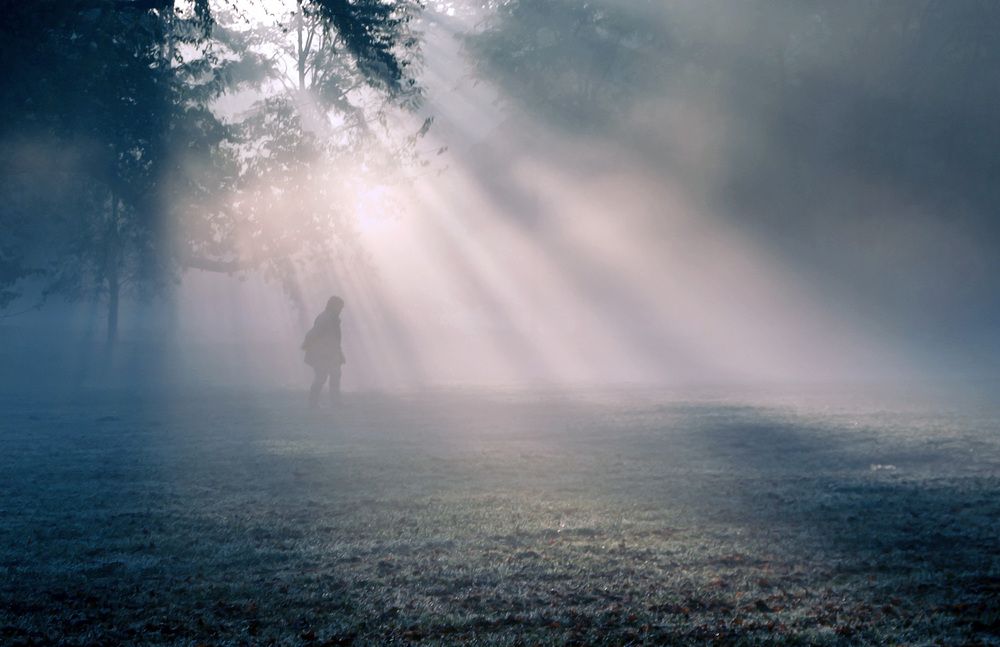 Photo #13644968