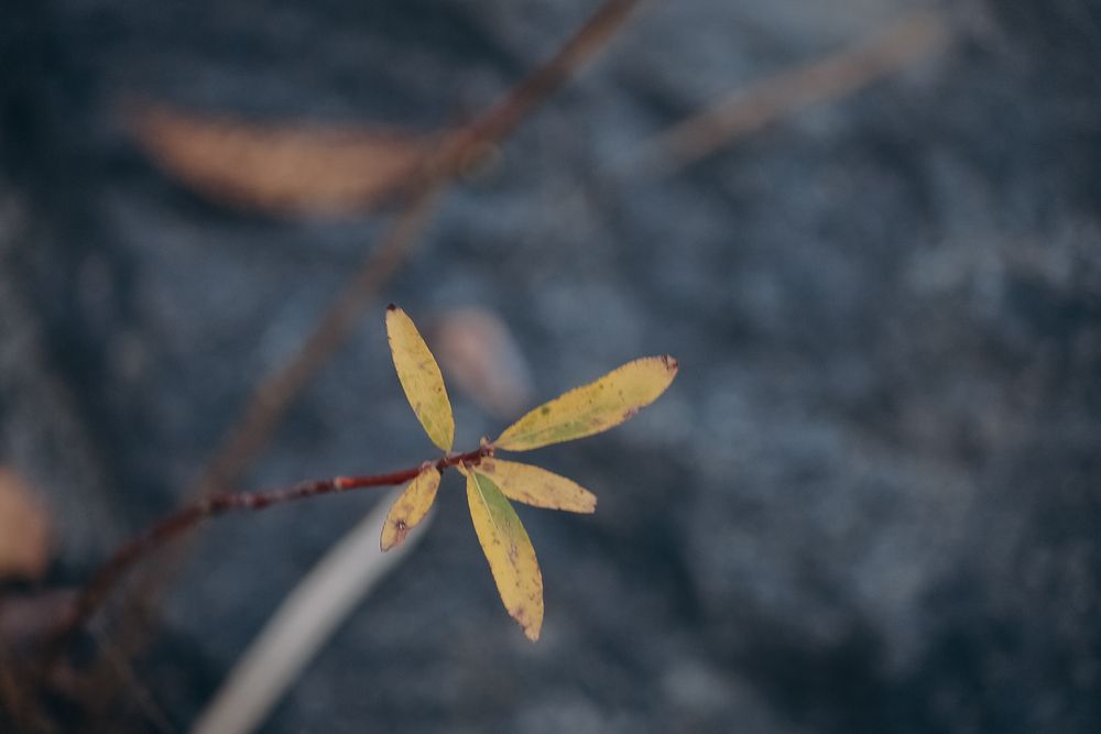 Photograph by Ригина Айдель