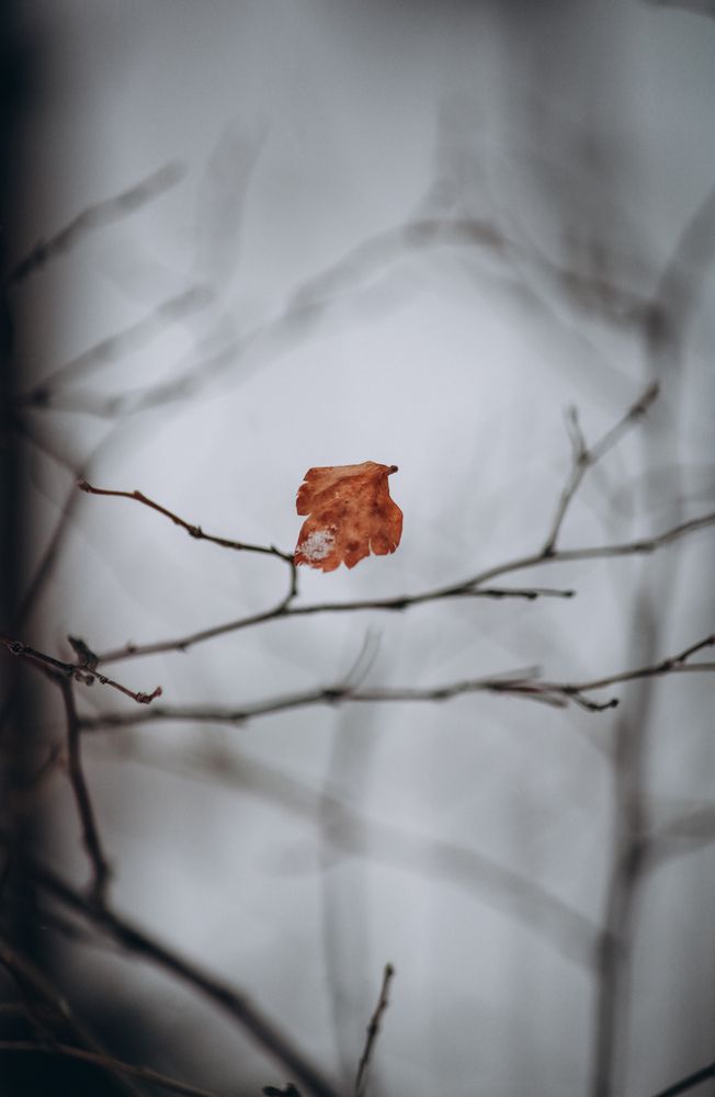 Photograph by Ригина Айдель